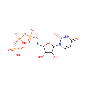 uridine triphosphate